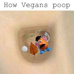 Vegan Poop Meme Template