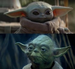 Yoda and Jr Meme Template