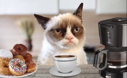 grumpy cat cafe Meme Template