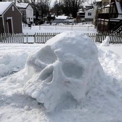 Snow Skull Meme Template