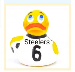 Steelers duck Meme Template