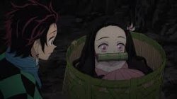 Nezuko in tiny sack Meme Template