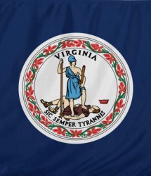 Virginia Flag Boogalations Meme Template