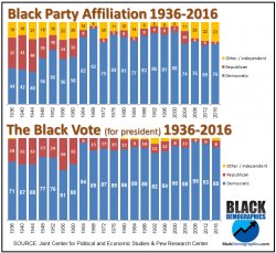 Black vote & party affiliation Meme Template