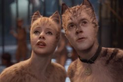 cat people Meme Template