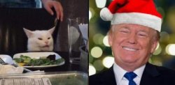 SMUDGE AND TRUMP Meme Template