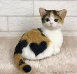 Cute Heart Kitten Meme Template