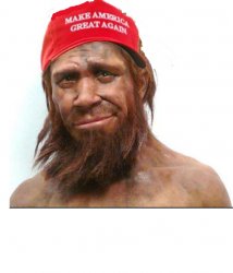 neanderthal Maga Meme Template