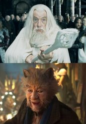 Gandalf Releases Ian From Cats Meme Template