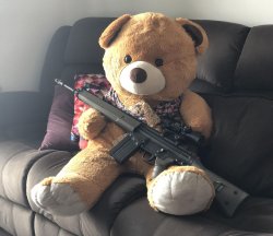 TED with Gun. Meme Template