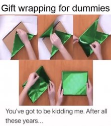 Gift Wrapping For Dummies Meme Template