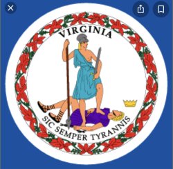 Virginia State flag Meme Template