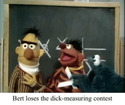 BERT LOSES THE DICK-MEASURING CONTEST Meme Template