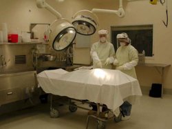 Autopsy Meme Template