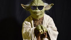 Yoda with sunglasses Meme Template