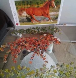 Horse Puzzle Meme Template