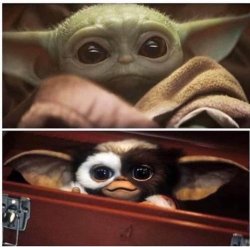 Baby Yoda Gremlin Meme Template