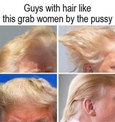Donald Trump Hair Grab By The Pussy Meme Template