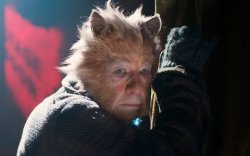 cats ian mckellen Meme Template