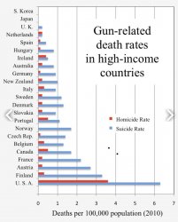 Gun deaths comparison by country (2010) Meme Template