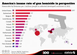 Gun deaths by country, 2012 w/ map Meme Template