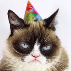 Grumpy Cat Party Hat Meme Template