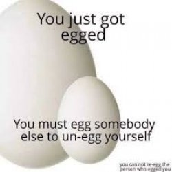 You got egged Meme Template