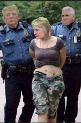 Trump arrests Hillary Meme Template