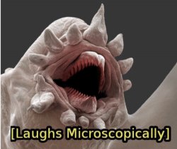 laughs microscopically Meme Template