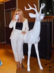 Kylie Reindeer Meme Template
