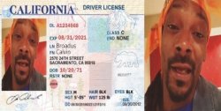 Life Hack High On Drivers License Meme Template