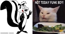 Stupid Cat Meme 6 Meme Template