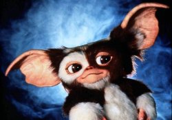 gizmo Meme Template