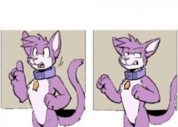 Furry hold on Meme Template