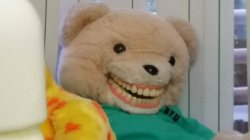 Smile Teddy Meme Template