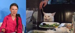 greta cat at table Meme Template