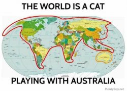 The world is a cat playing with Australia Meme Template