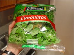 Frog in a bag of lettuce Meme Template
