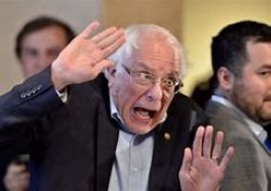 crazy bernie Meme Template