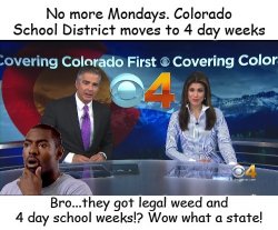 Great State Of Colorado Meme Template