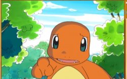 Bro Charmander Meme Template