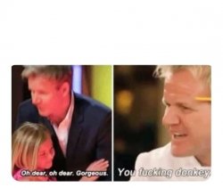 Chef Gordon Ramsay Meme - Imgflip