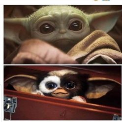 Yoda gizmo Meme Template