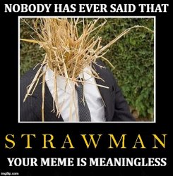 Straw man argument - your meme is meaningless Meme Template