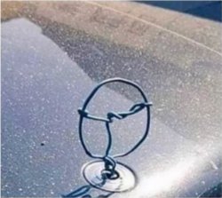 Mercedes Hood Ornament Meme Template