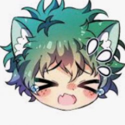 Deku neko Meme Template