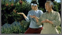 Karate kid Meme Template