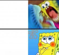 sponge bob yelling Meme Template