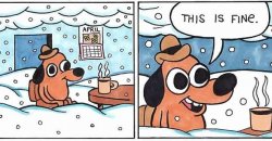 this is fine snow Meme Template