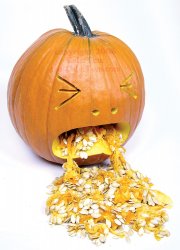 Pumpkin vomit Meme Template